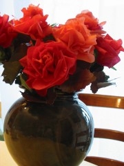 roses rouges 003.jpg