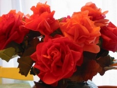 roses rouges 004.jpg
