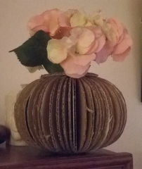 WP_20150101_006.jpg