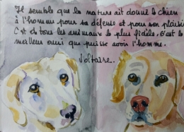 Petit livre chien 7.jpg