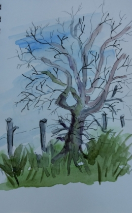 Arbre 2.jpg