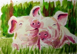 cochons progres 6.jpg