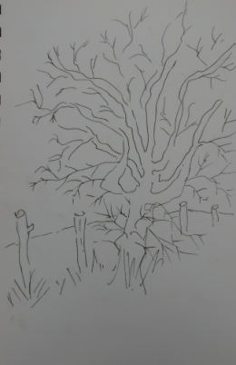 Arbre 1.jpg