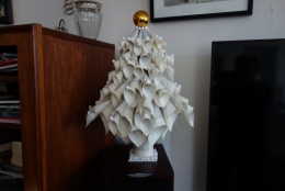 Sapin blanc 2.JPG