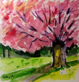 Hanami 13.jpg