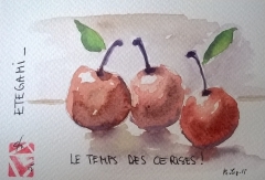 WP_20150525_003.jpg