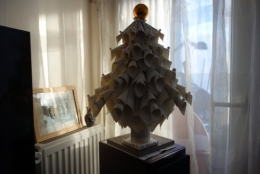 Sapin blanc1.JPG