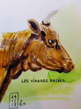 vache brune.jpg