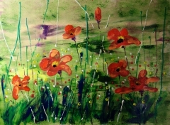 coquelicots21.jpg