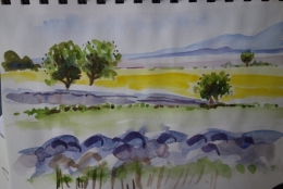 Stage aquarelle 3.JPG