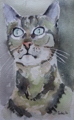NIKITA AQUARELLE 51.jpg