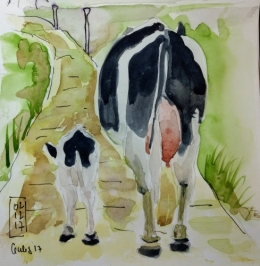 vache noire.jpg