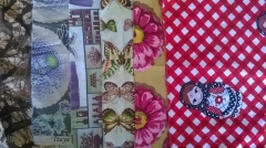 WP_20150619_002.jpg