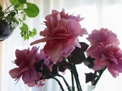 Photo 044.jpg