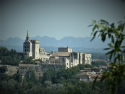 Avignon vu de Villeneuve