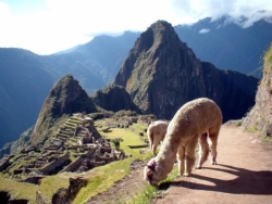 Perú Cuzco