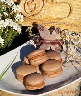 macarons, macarons avec blancs d'oeufs déshydratés, macarons avec blancs d'oeufs séchés, ganache praliné, recette facile de macarons