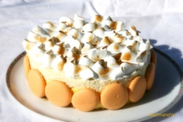 entremet mangue, entremet ananas, entremet exotique