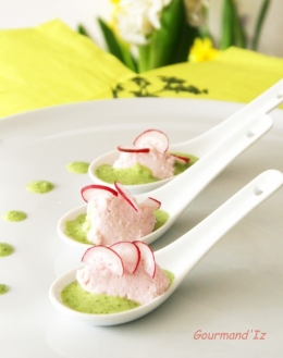 radis, mousse de radis, espuma radis, pesto radis, radis apéritif