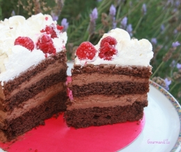 molly cake, chocolat, mousse chocolat, naked cake chocolat, framboises