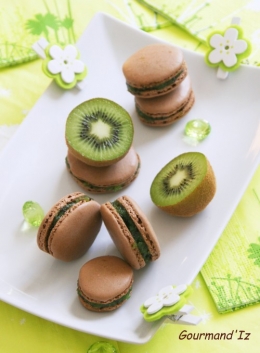 macarons kiwi,
