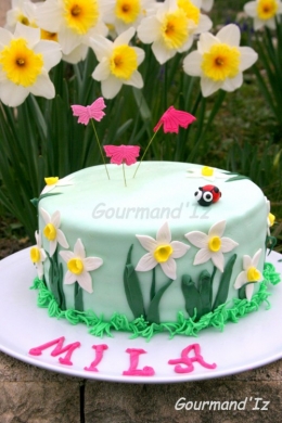 rainbow cake, cake design, gâteau printemps, spring cake, gâteau arc en ciel, pate à sucre