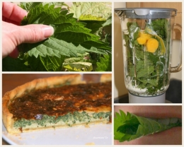 tarte, orties