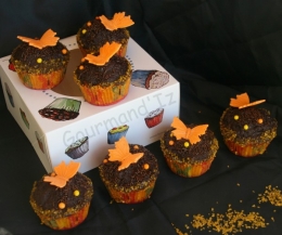 cupakes,chocolat,pâte à sucre