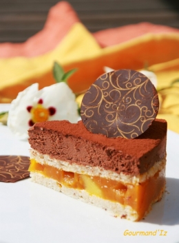 entremet chocolat, mangue, passion, Klemanga, encyclopedie du chocolat