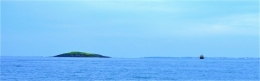 DSCN1753 - copie.jpg