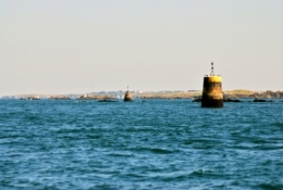 DSC_4870 - copie.jpg