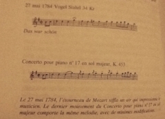chant de l'étourneau.jpg