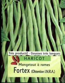 harcots001.jpg
