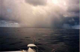 pacific99001.jpg