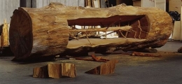 1423penone13.jpg