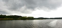 DSC_8514.jpg