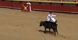 P1160478.jpg