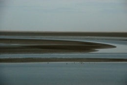 DSC_3940 - copie.jpg