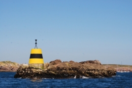 DSC_4845 - copie.jpg