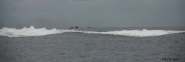 été209.JPG