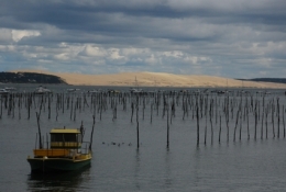 Bassin.jpg