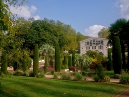Cambo_ - copie.jpg