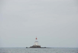 teign.jpg