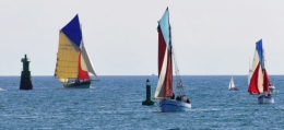 vieilles coques.jpg