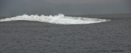 été109.JPG