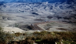 Tamloul.jpg