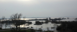 Grand'Lieu - copie.jpg