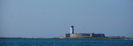 DSC_5529.jpg