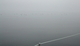 Brume.JPG