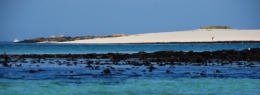 DSC_5493.jpg